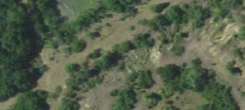 10005 Hwy 59