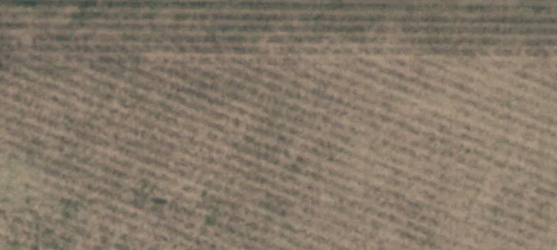 Levelland, TX 79336