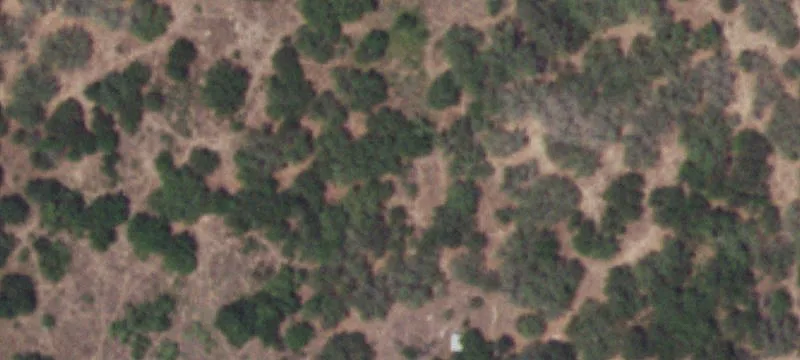 510 Hickory Ln