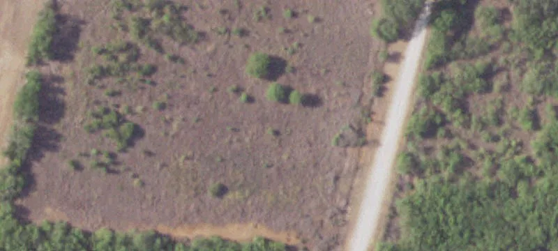 13598 Us Hwy 87th S