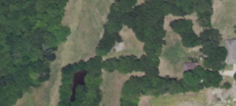 1424 Longneck Rd
