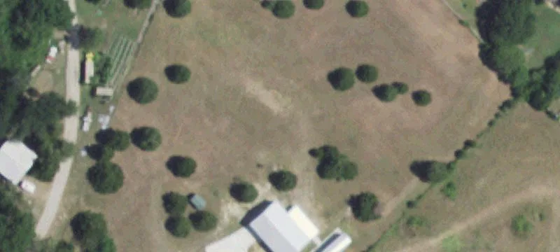 2441 Elm Grove Rd