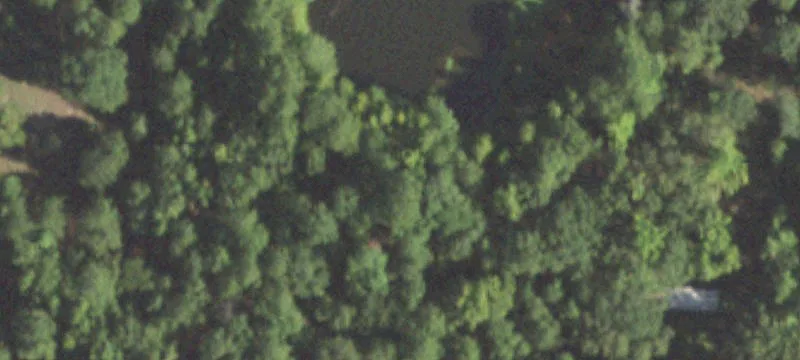 3010 Fm 1999
