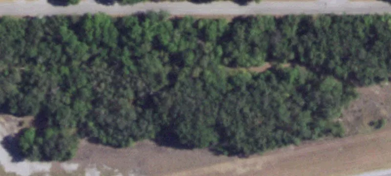 12170 Jacksboro Hwy
