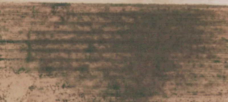 Ropesville, TX 79358