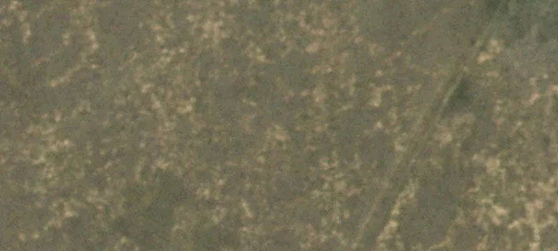 Dumas, TX 79029