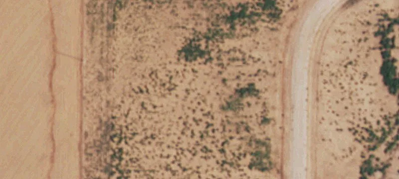Ropesville, TX 79358