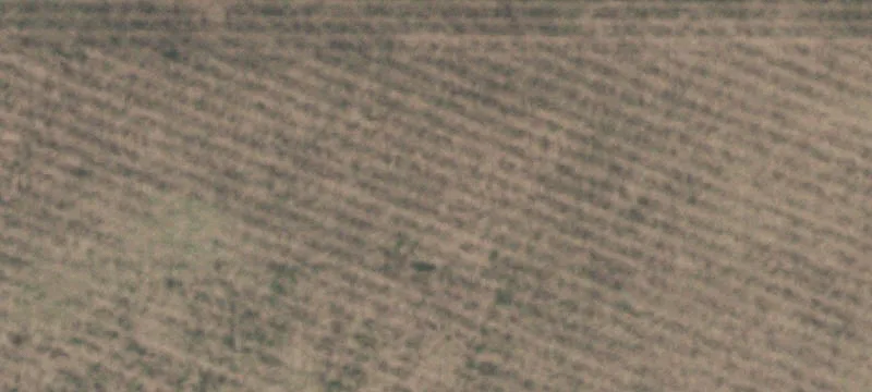 Levelland, TX 79336