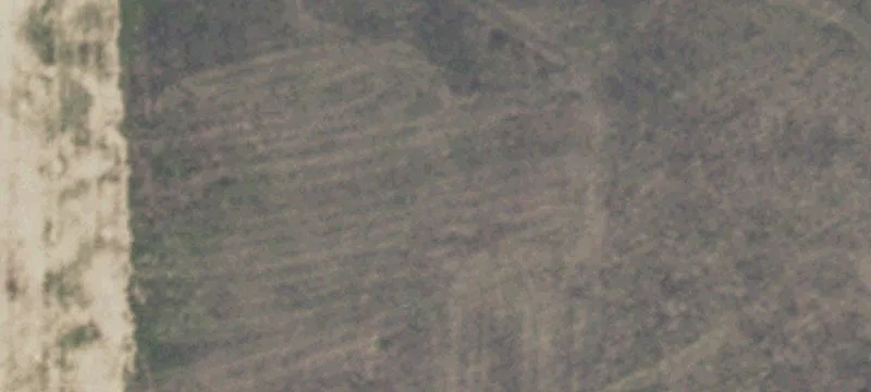 Levelland, TX 79336