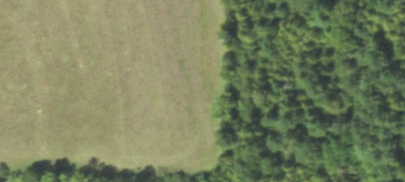 Cushing, TX 75760