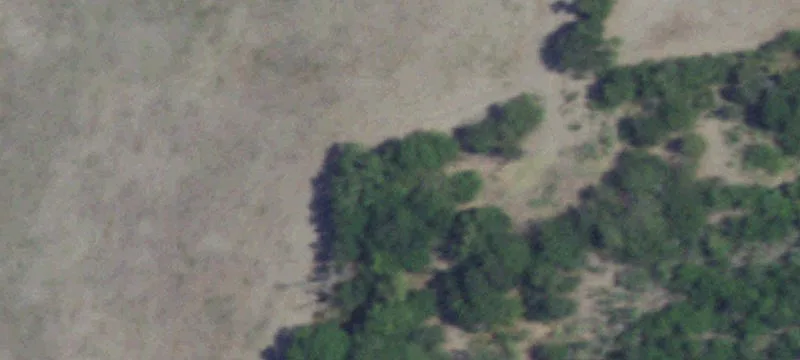 1658 County Rd 406