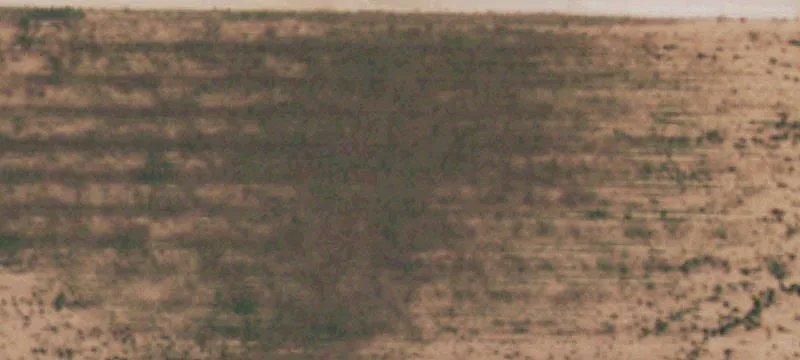 Ropesville, TX 79358