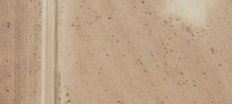 Whitharral, TX 79380