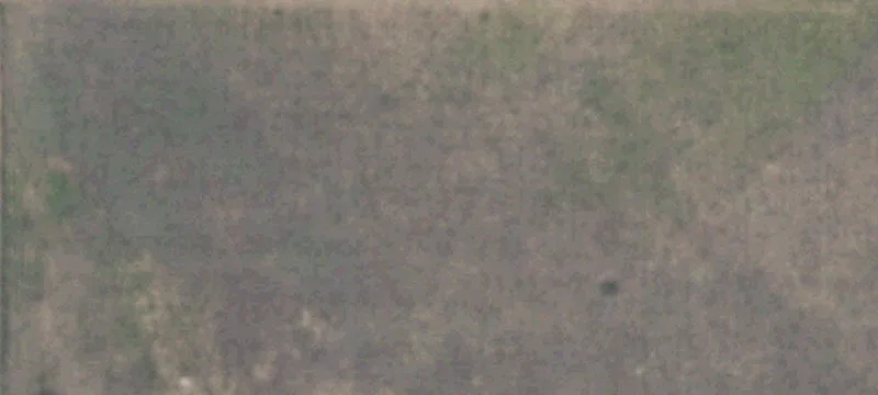 Ropesville, TX 79358
