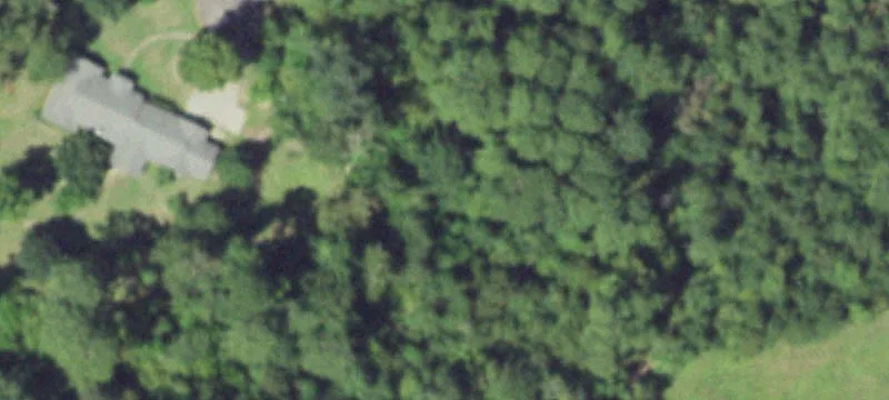 Newton, TX 75966
