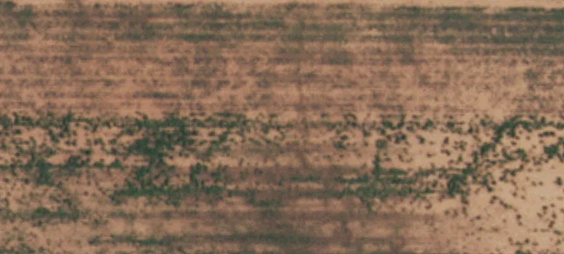 Ropesville, TX 79358