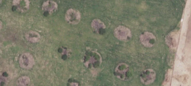 Sullivan City, TX 78595