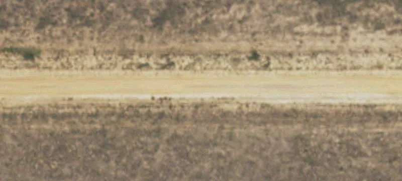 Hartley, TX 79044