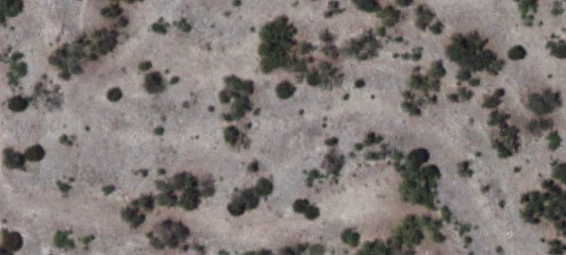 Rocksprings, TX 78880