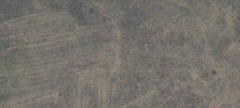 Levelland, TX 79336
