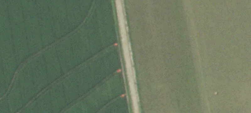 Elmaton, TX 77440