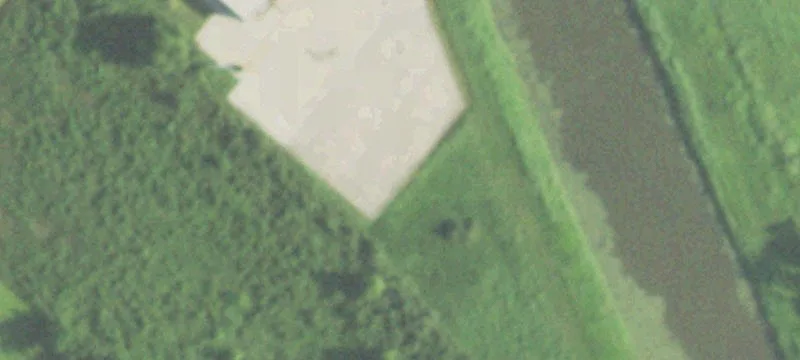 1250 Hwy 365