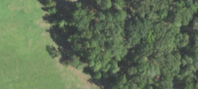 510 Hickey Rd