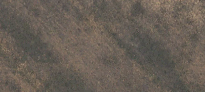 Levelland, TX 79336