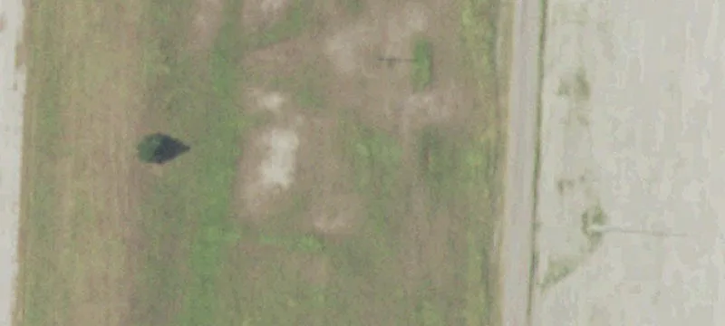 Iola, TX 77861