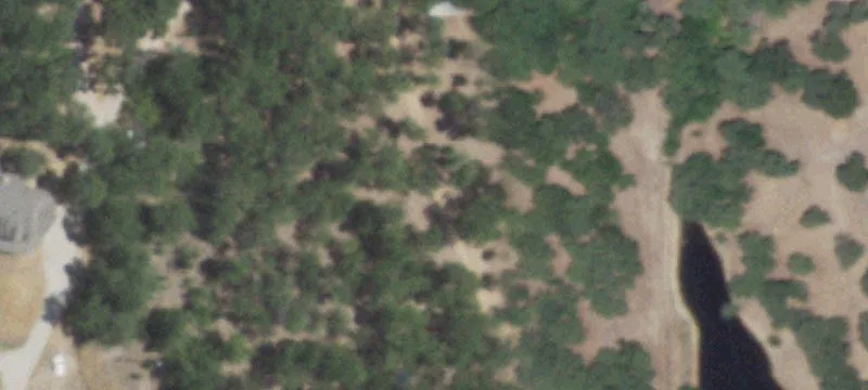 700 Cougar Rd