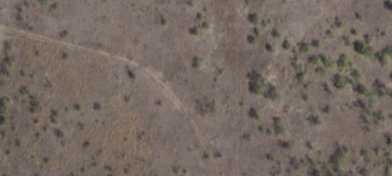 Albany, TX 76430