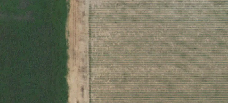 Hale Center, TX 79041
