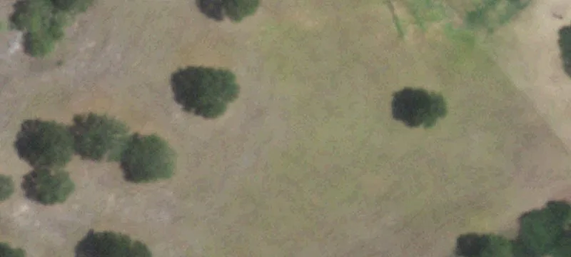 1795 County Rd 1004