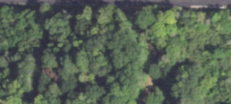 554 Fm 1999