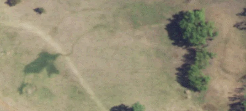 491 County Rd 4757