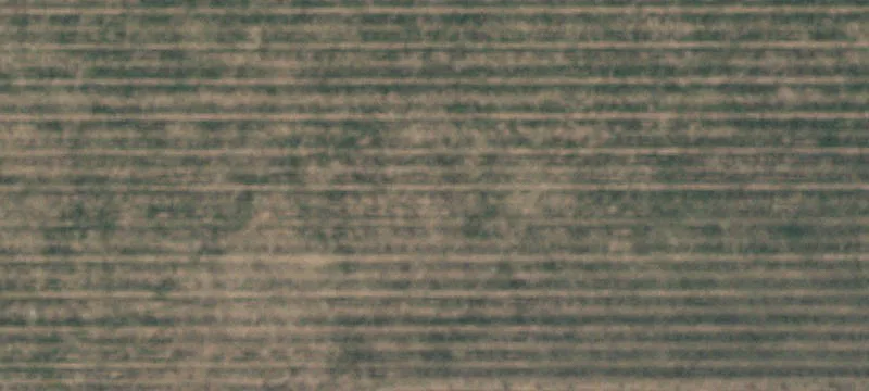 Levelland, TX 79336