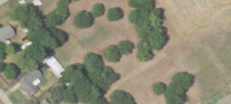 414 Lynch Dr
