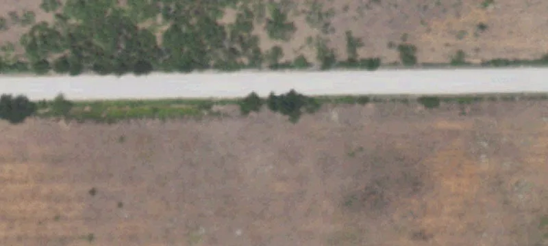 8000 County Road 333