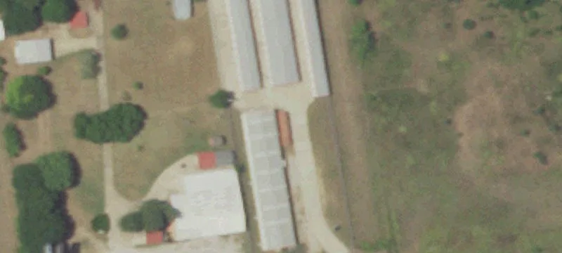 8775 Hwy 290th E