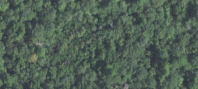 28649 Fm 770