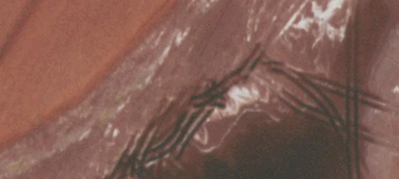 2902-3198 Sh 188