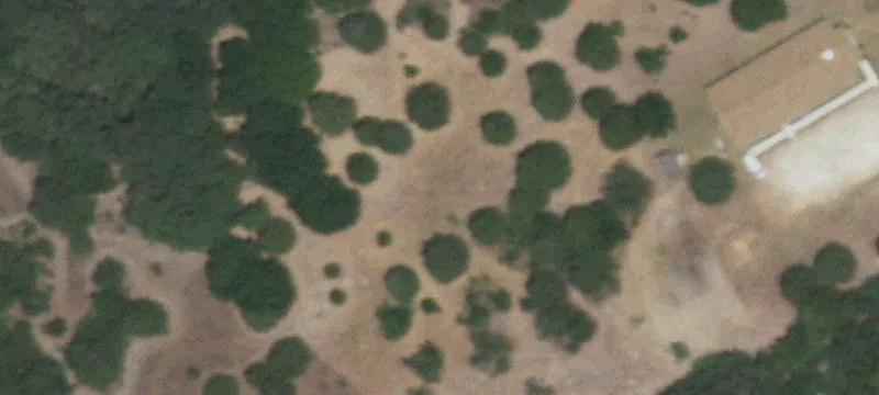 2155 Fm 1578