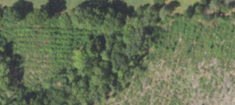 Rusk, TX 75785