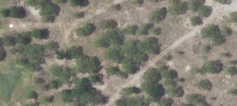 Eckhert Rd