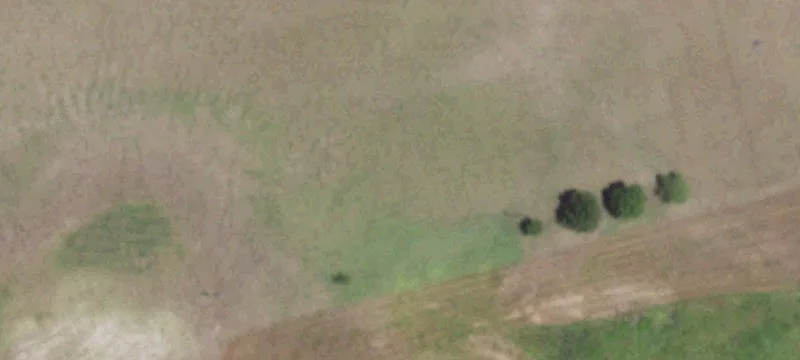 Shiner, TX 77984