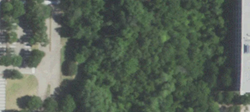 2275 Glenville Dr