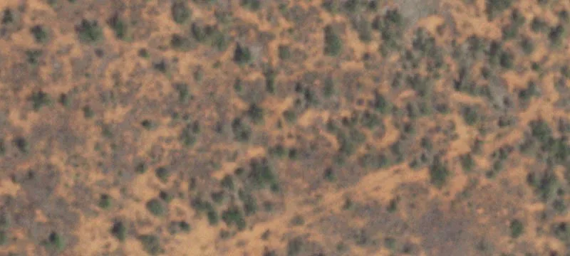 Jayton, TX 79528