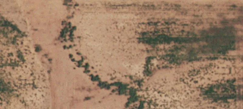 Ropesville, TX 79358