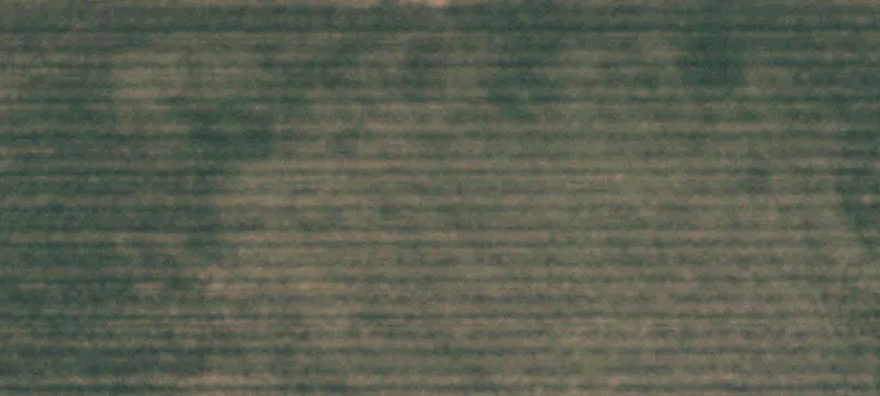 Levelland, TX 79336