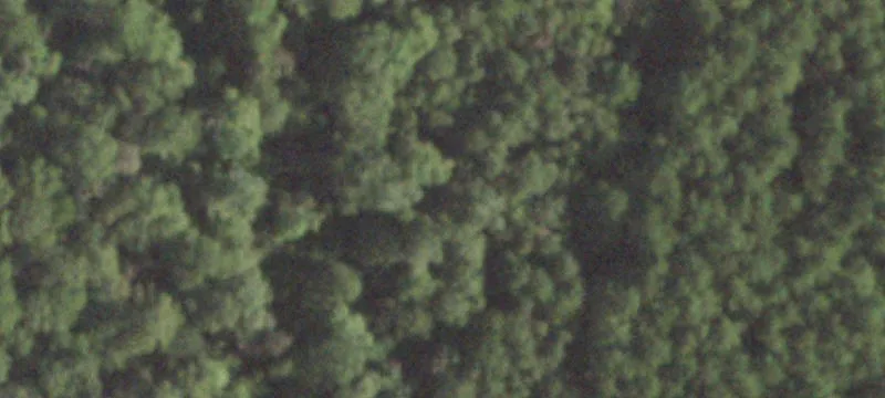 Silsbee, TX 77656